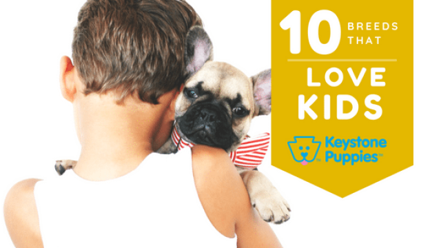 10 Breeds That Love Kids